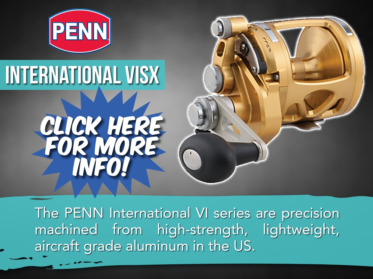 Penn International