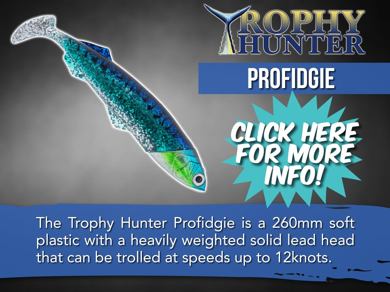 Profidgie