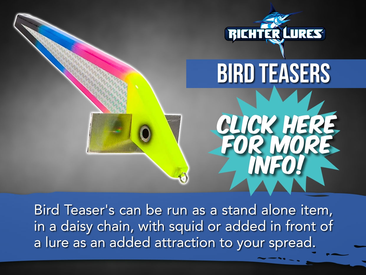 Richter Bird