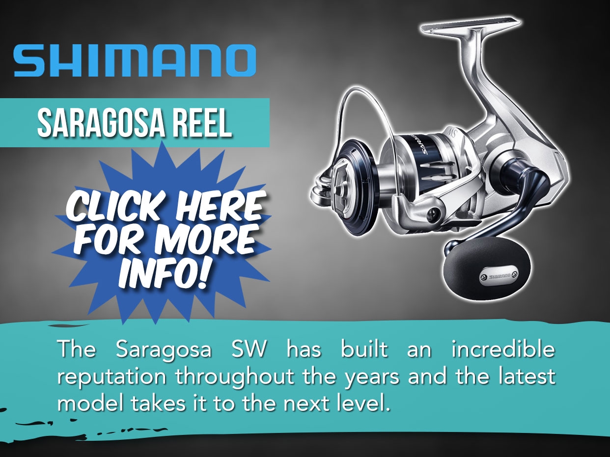 Shimano Saragosa